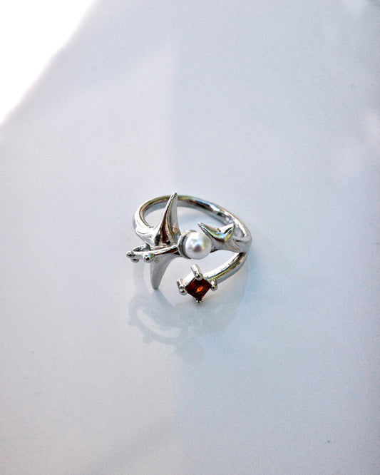 Ring of the Four Symbols